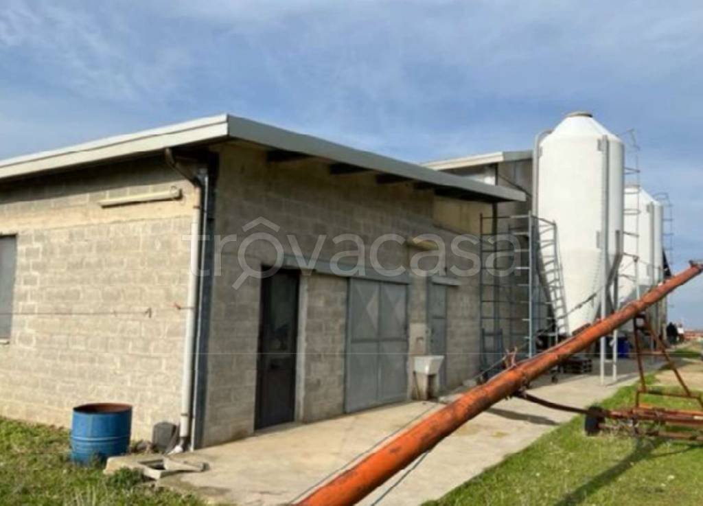 immagine annuncio 8 di 11