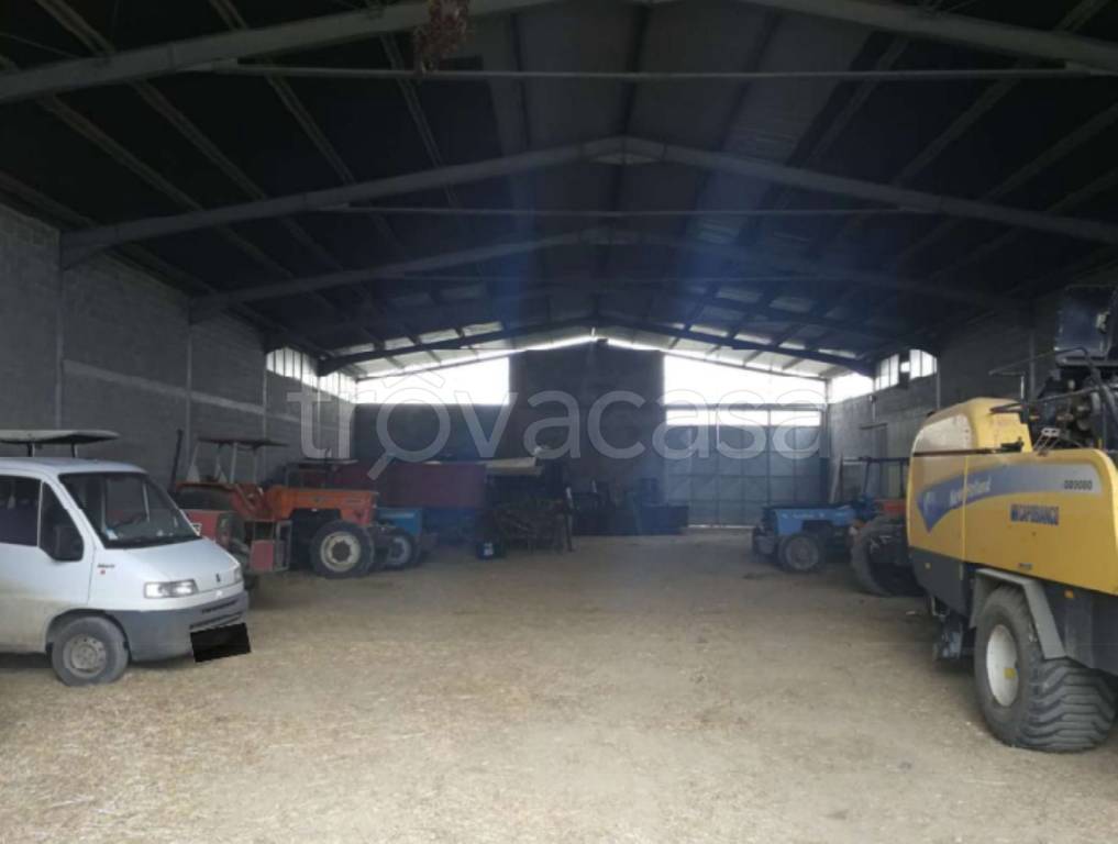 immagine annuncio 9 di 11