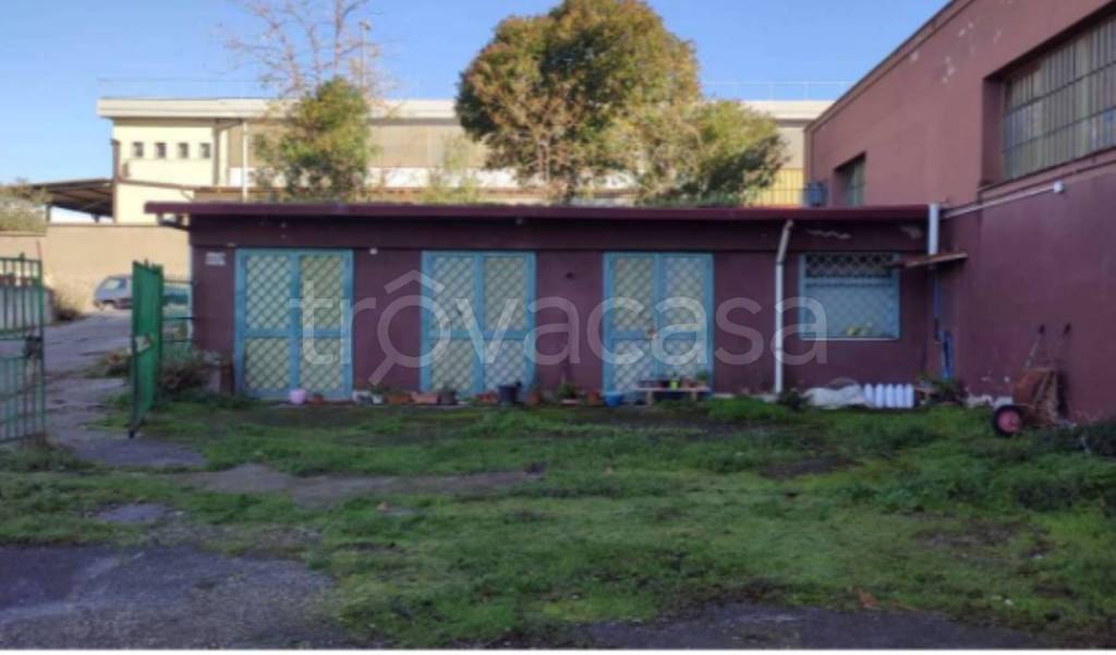 immagine annuncio 1 di 9