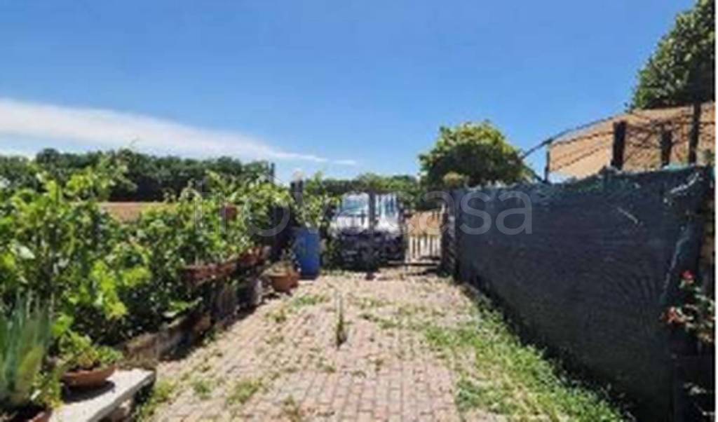 immagine annuncio 5 di 11