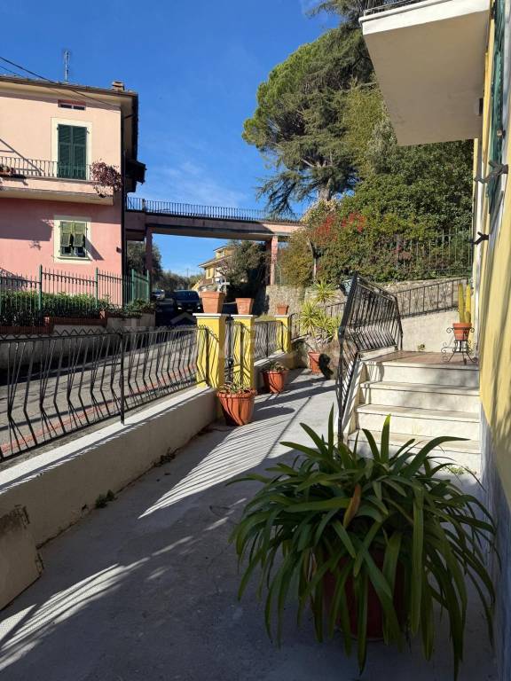 immagine annuncio 12 di 14