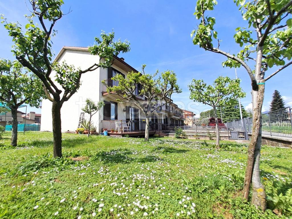 immagine annuncio 5 di 15