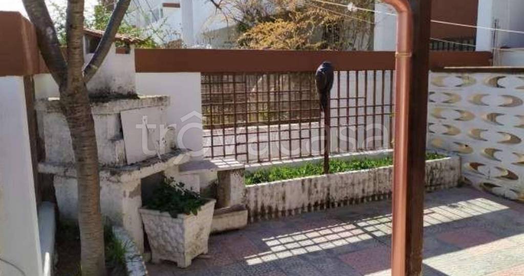 immagine annuncio 7 di 11