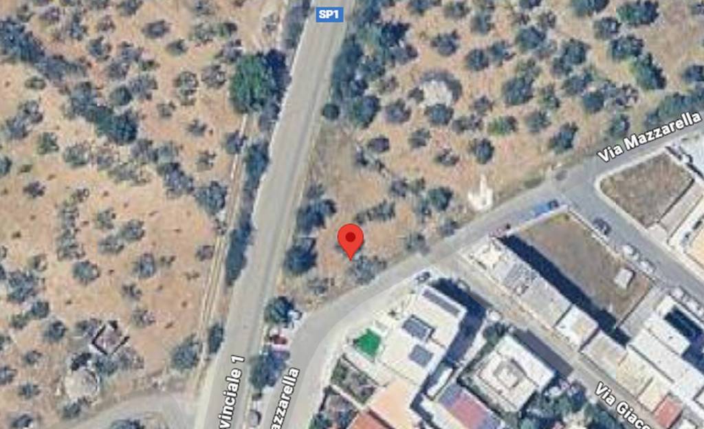 immagine annuncio 5 di 11