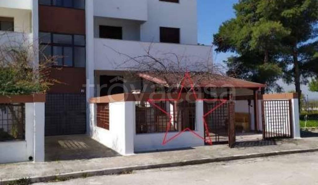 immagine annuncio 9 di 11