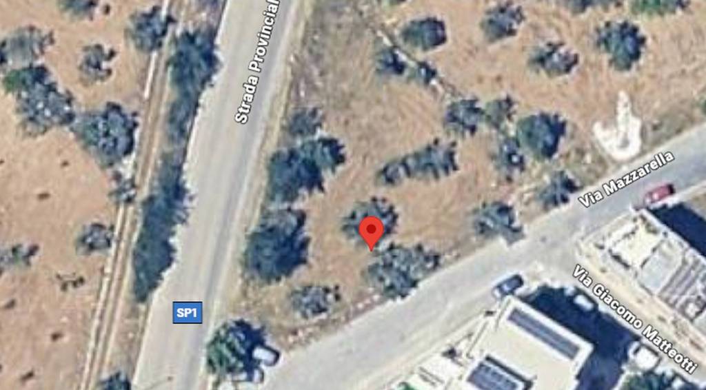 immagine annuncio 6 di 11