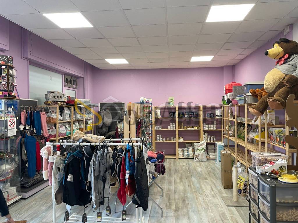 immagine annuncio 1 di 7