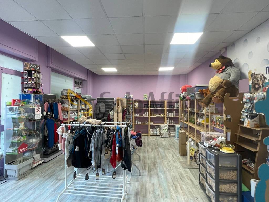 immagine annuncio 2 di 7