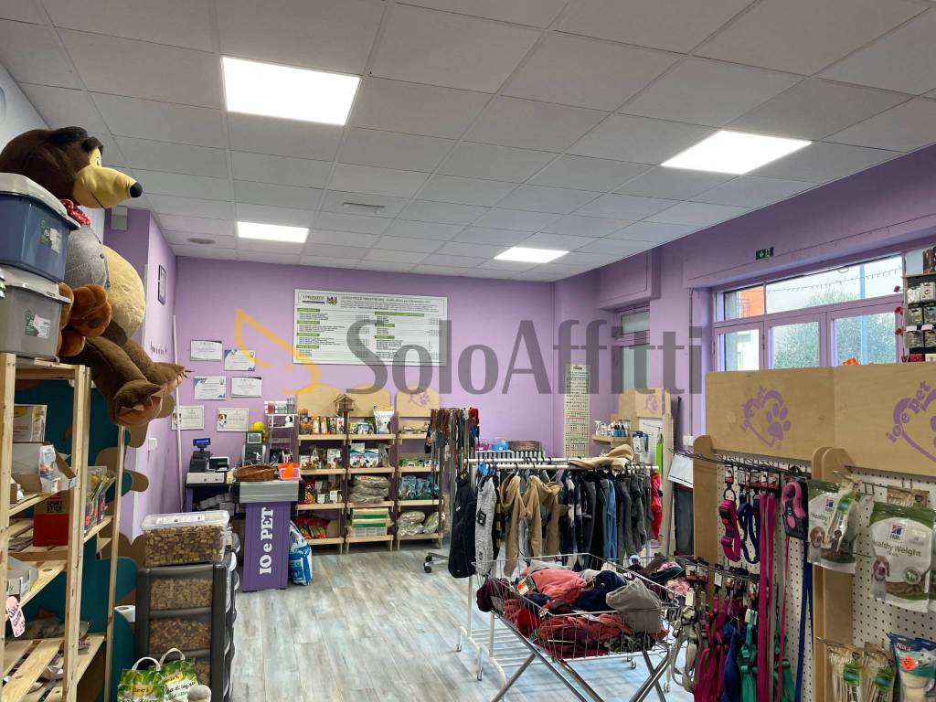 immagine annuncio 3 di 7