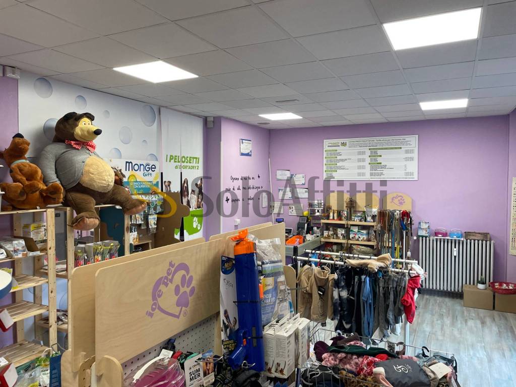 immagine annuncio 4 di 7