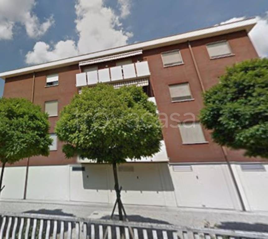 immagine annuncio 1 di 11