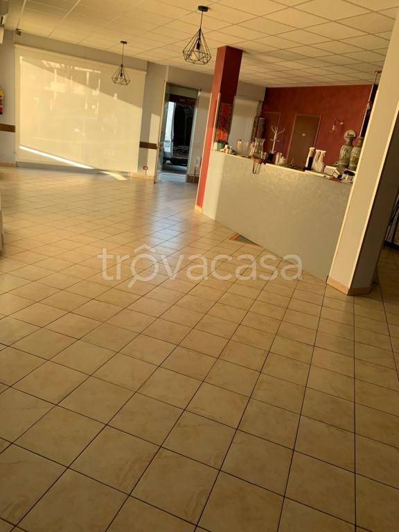 immagine annuncio 2 di 6
