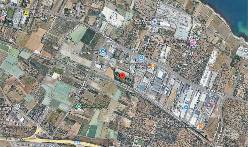 immagine annuncio 2 di 13