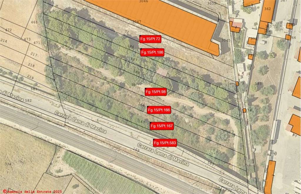 immagine annuncio 4 di 13