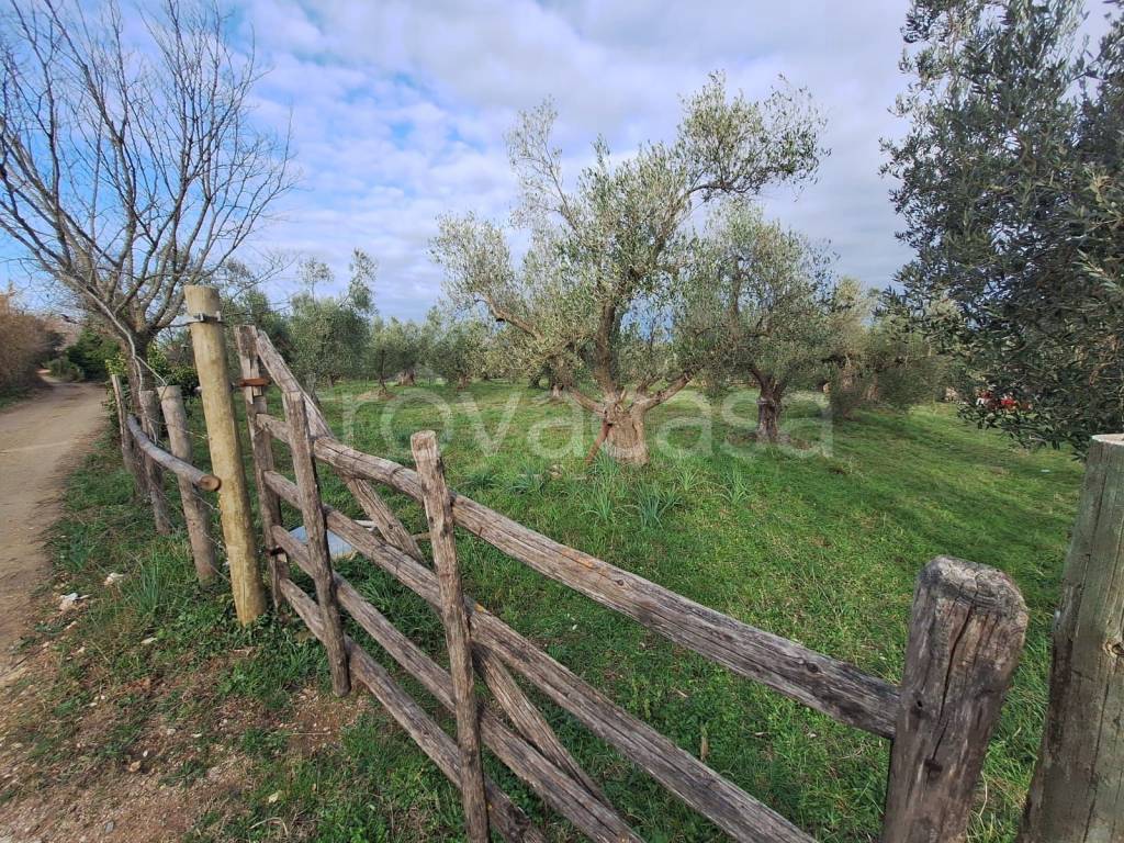 immagine annuncio 1 di 11