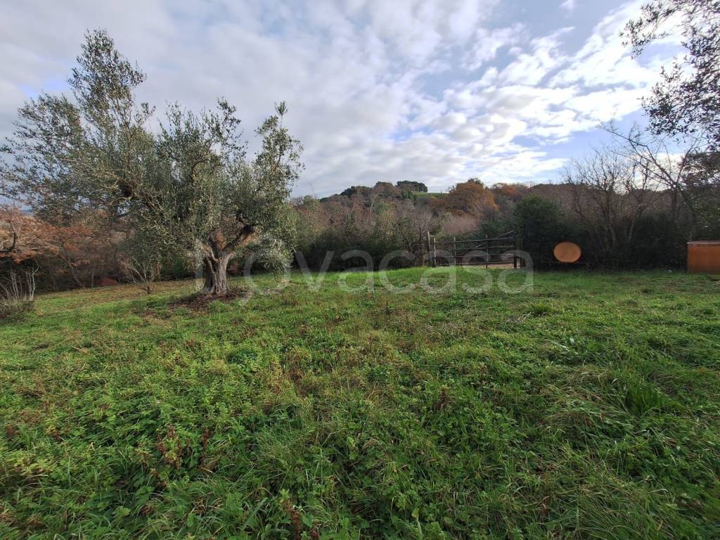 immagine annuncio 2 di 11