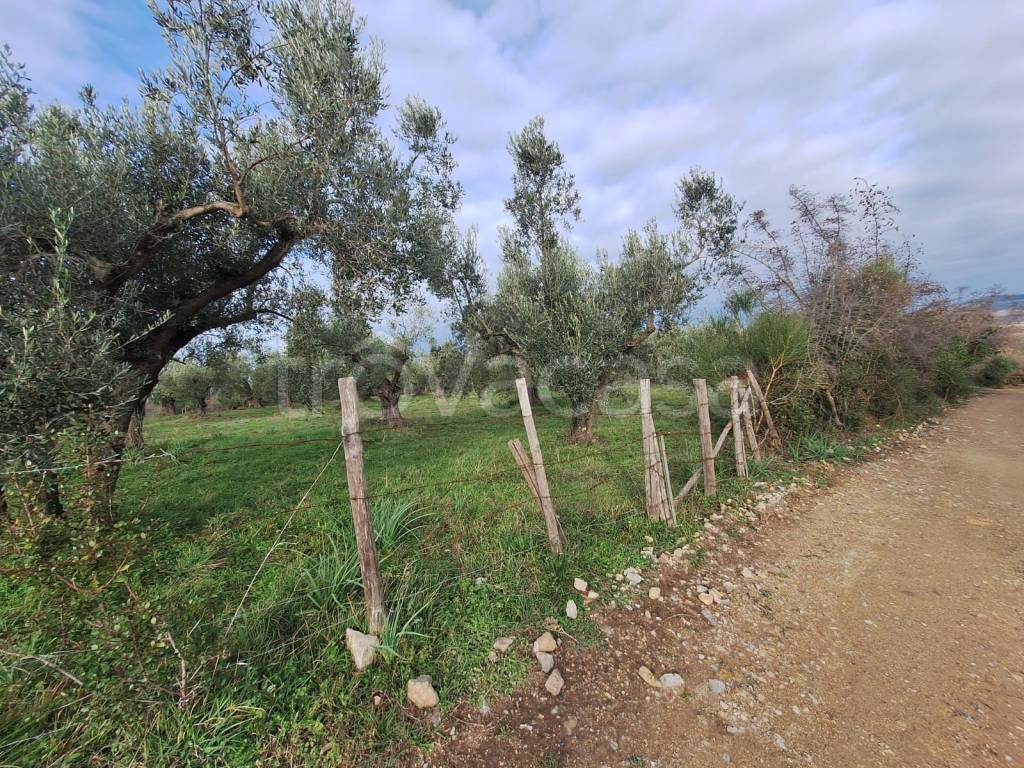 immagine annuncio 6 di 11