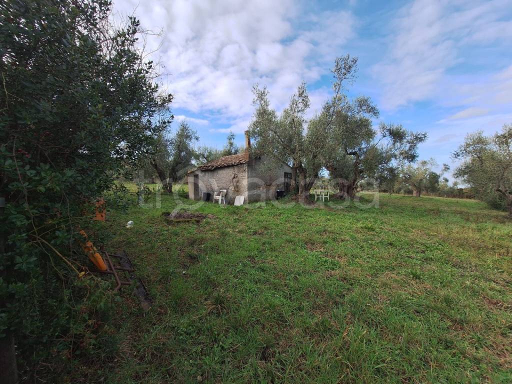 immagine annuncio 7 di 11