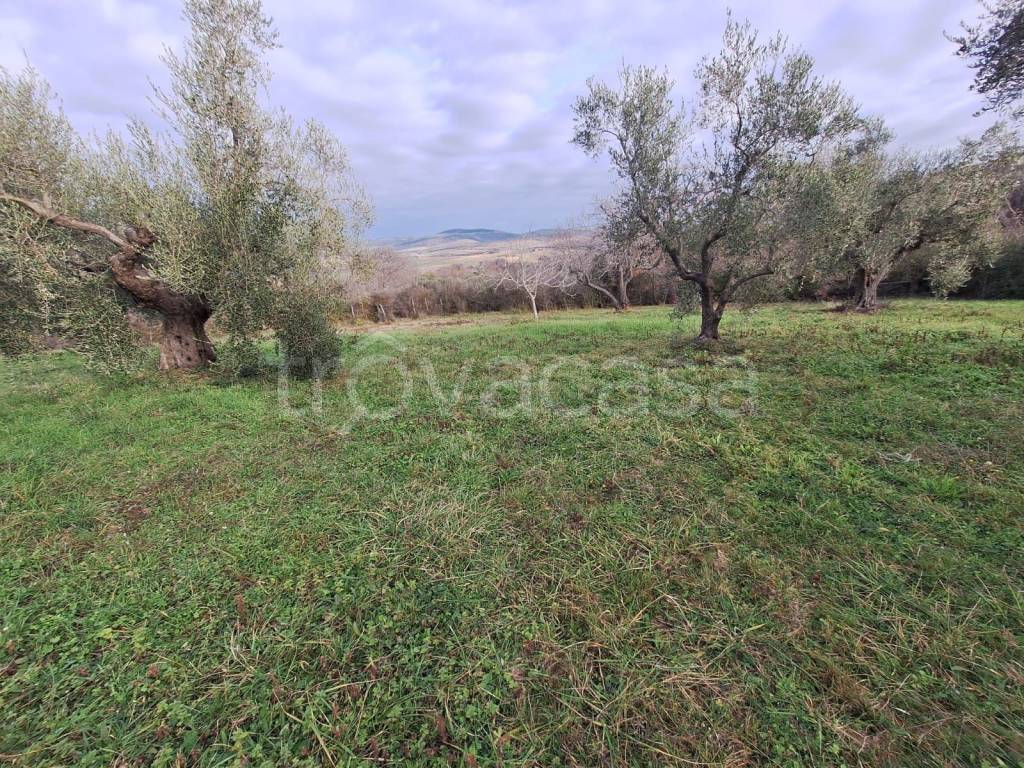 immagine annuncio 8 di 11