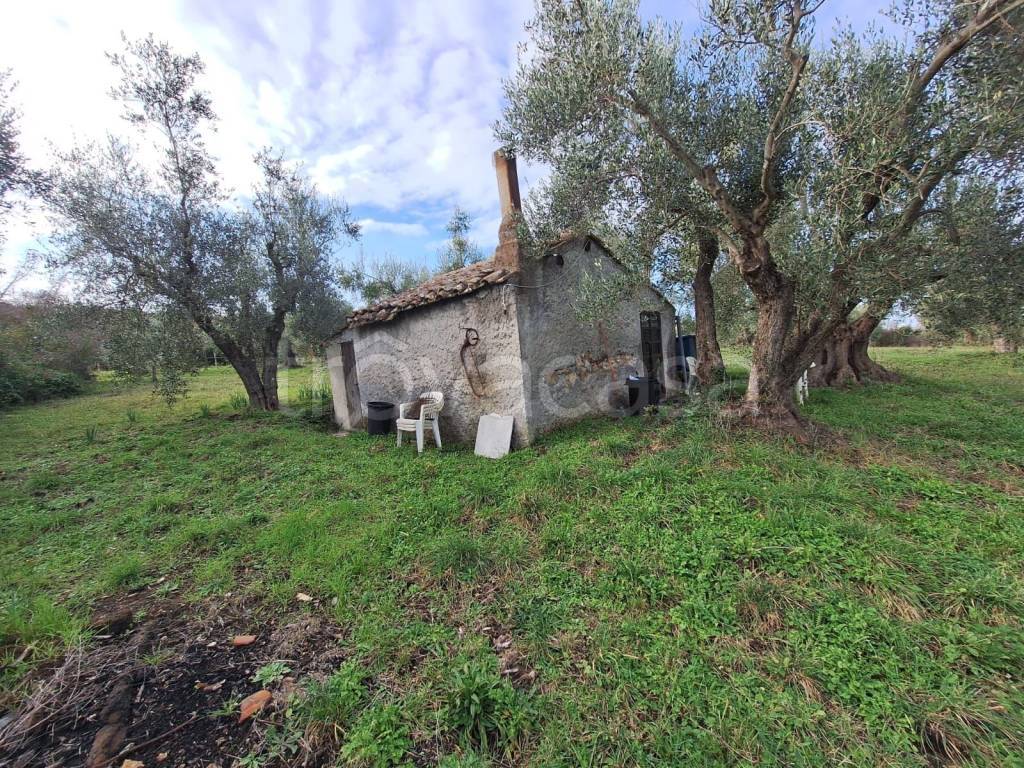 immagine annuncio 9 di 11