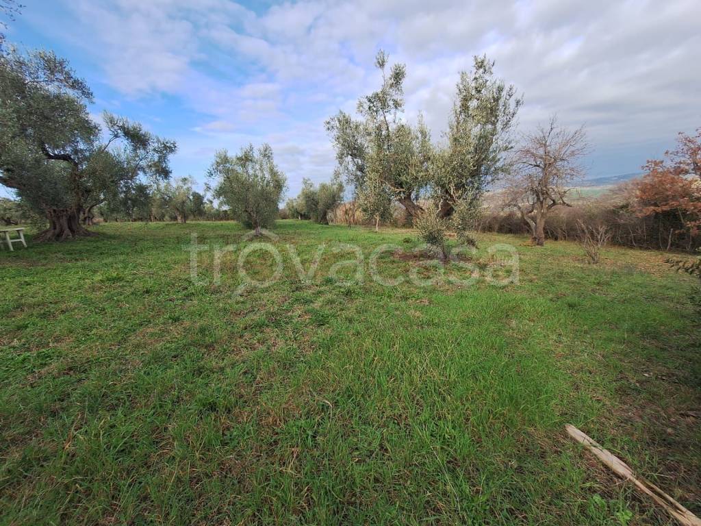 immagine annuncio 10 di 11