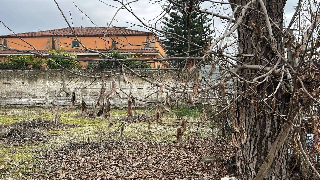 immagine annuncio 4 di 10