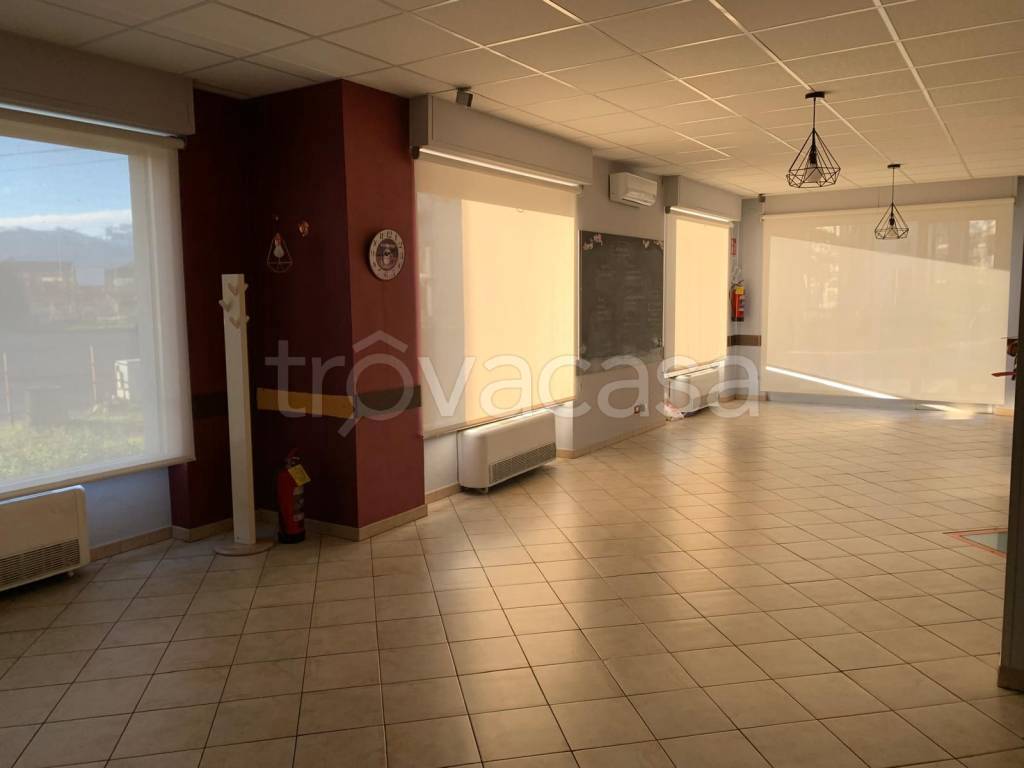 immagine annuncio 1 di 6