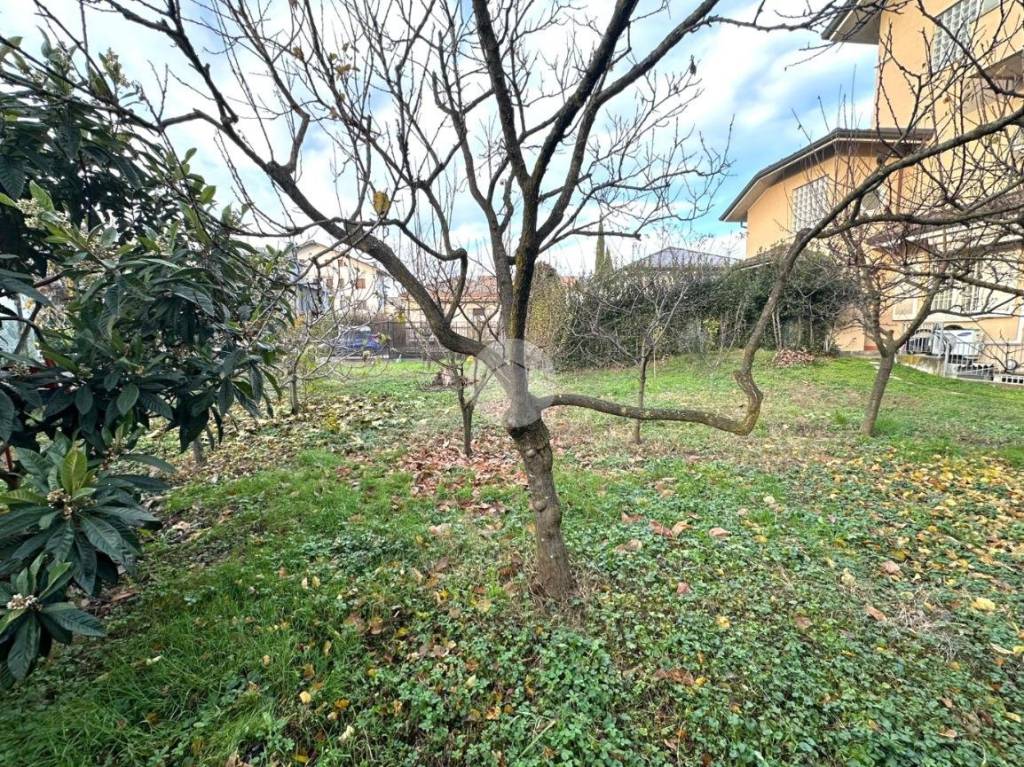 immagine annuncio 6 di 9