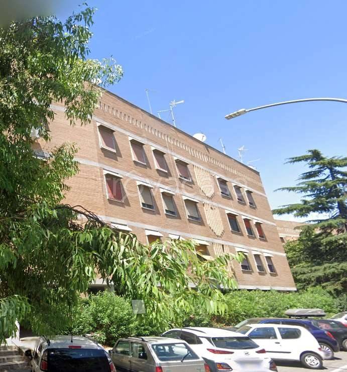 immagine annuncio 1 di 7