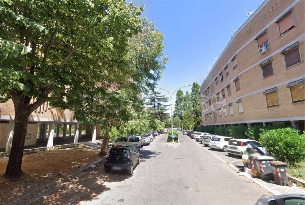 immagine annuncio 2 di 7