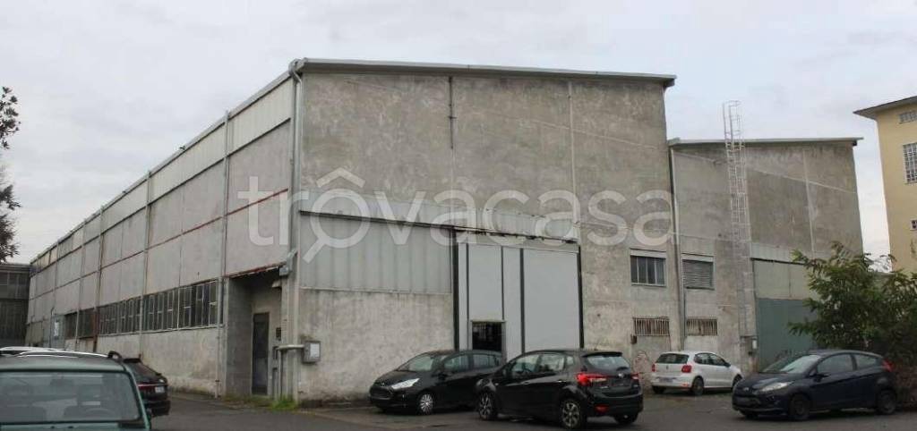 immagine annuncio 1 di 14