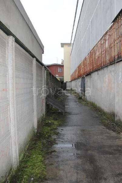 immagine annuncio 2 di 14