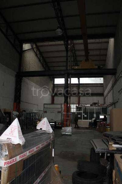 immagine annuncio 5 di 14