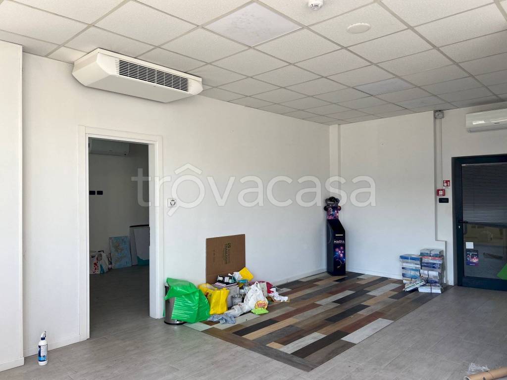 immagine annuncio 2 di 13