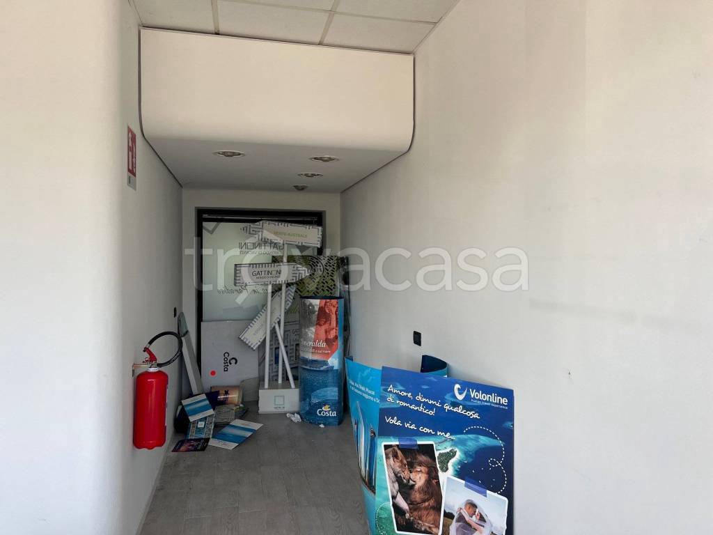 immagine annuncio 5 di 13