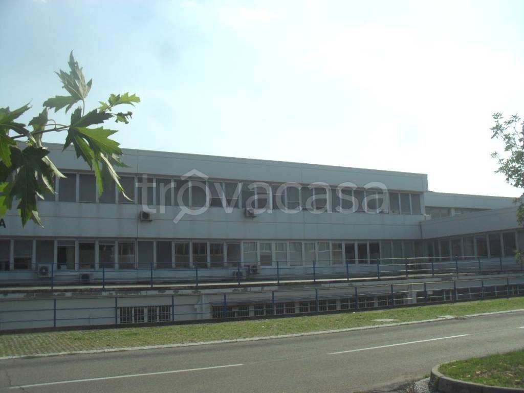 immagine annuncio 12 di 13