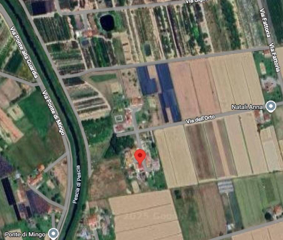 immagine annuncio 4 di 13