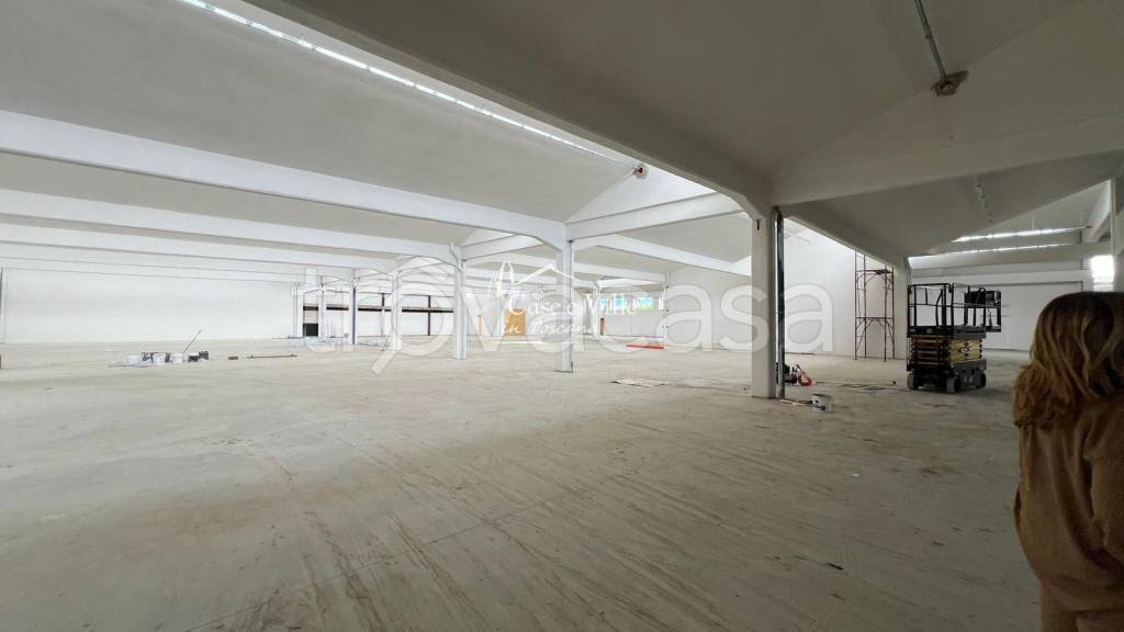 immagine annuncio 9 di 12