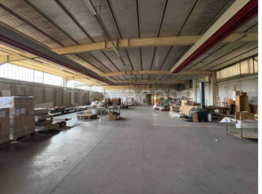 immagine annuncio 3 di 12