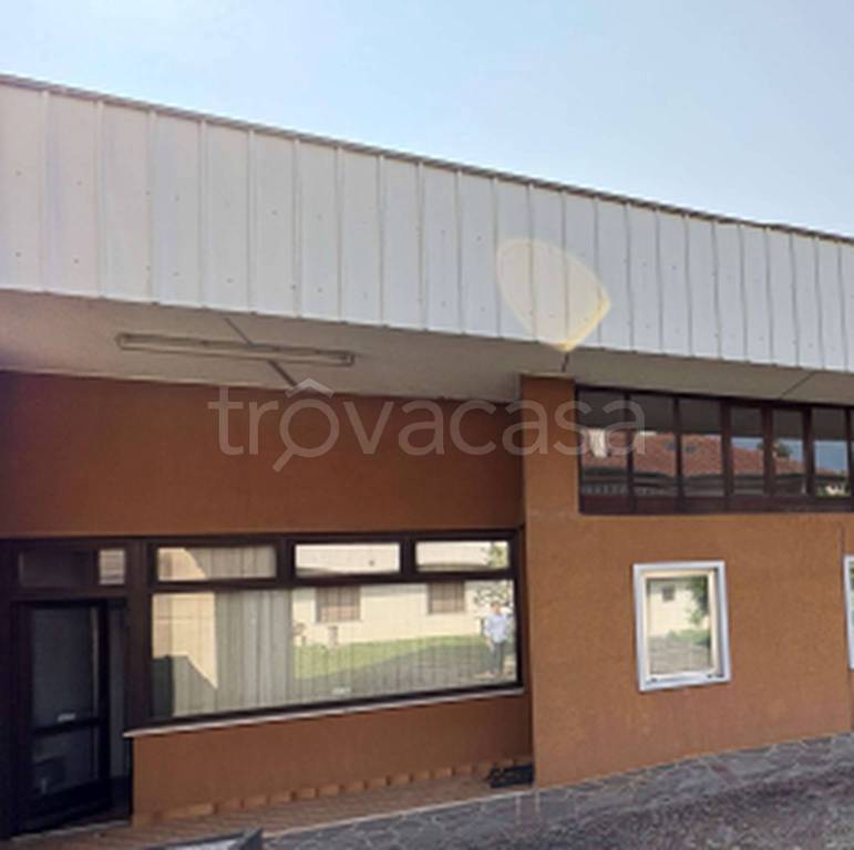 immagine annuncio 2 di 11