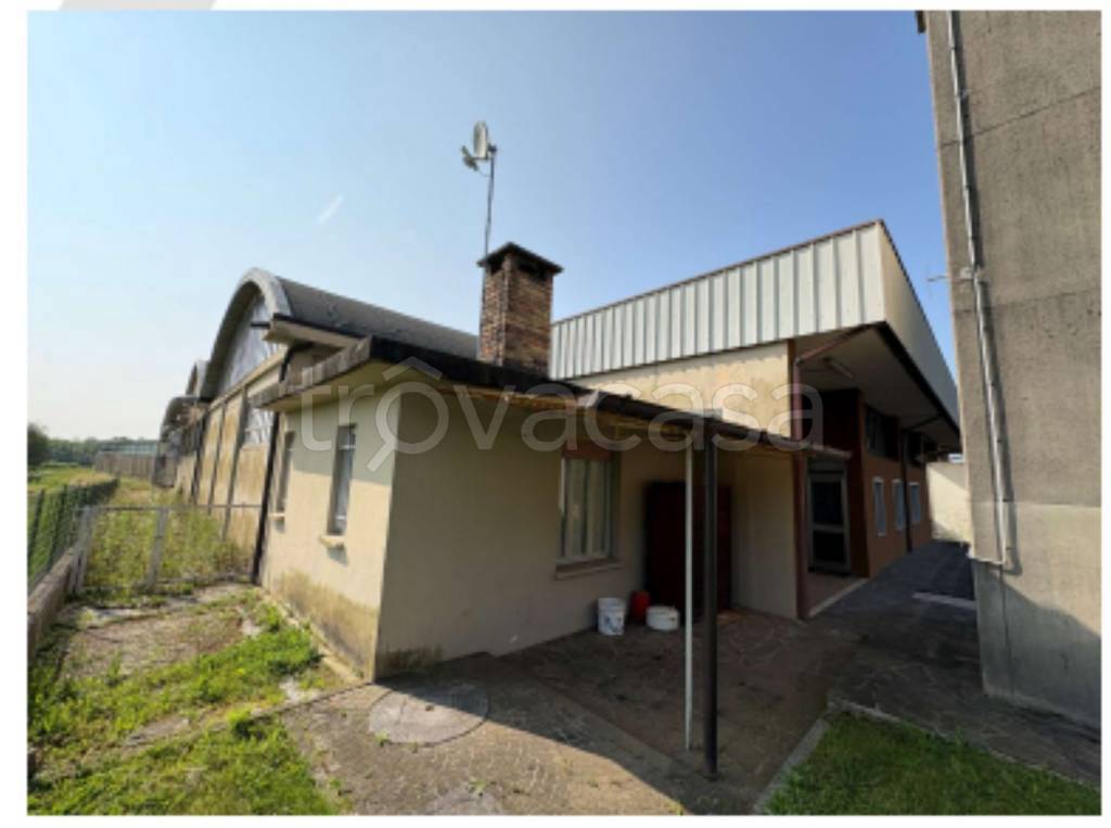 immagine annuncio 5 di 12