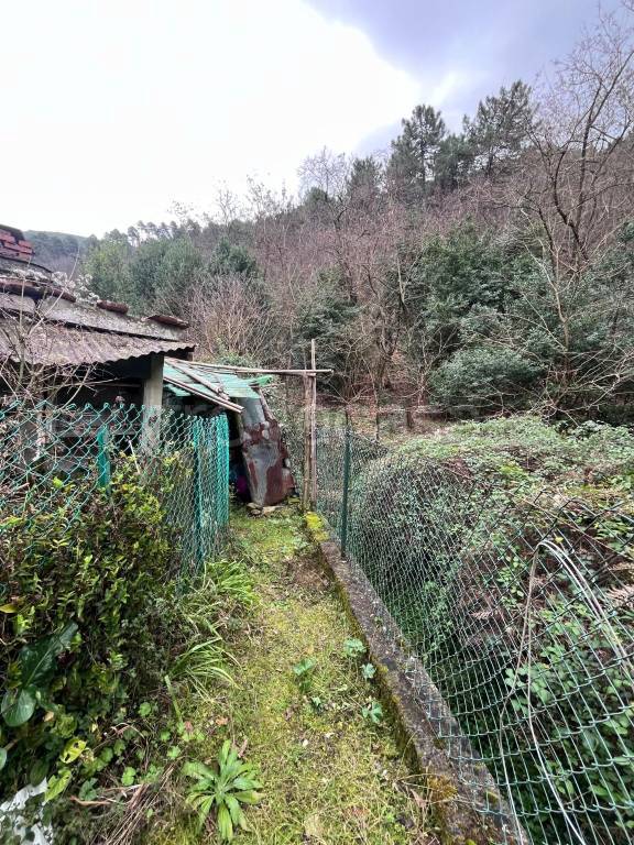 immagine annuncio 11 di 14