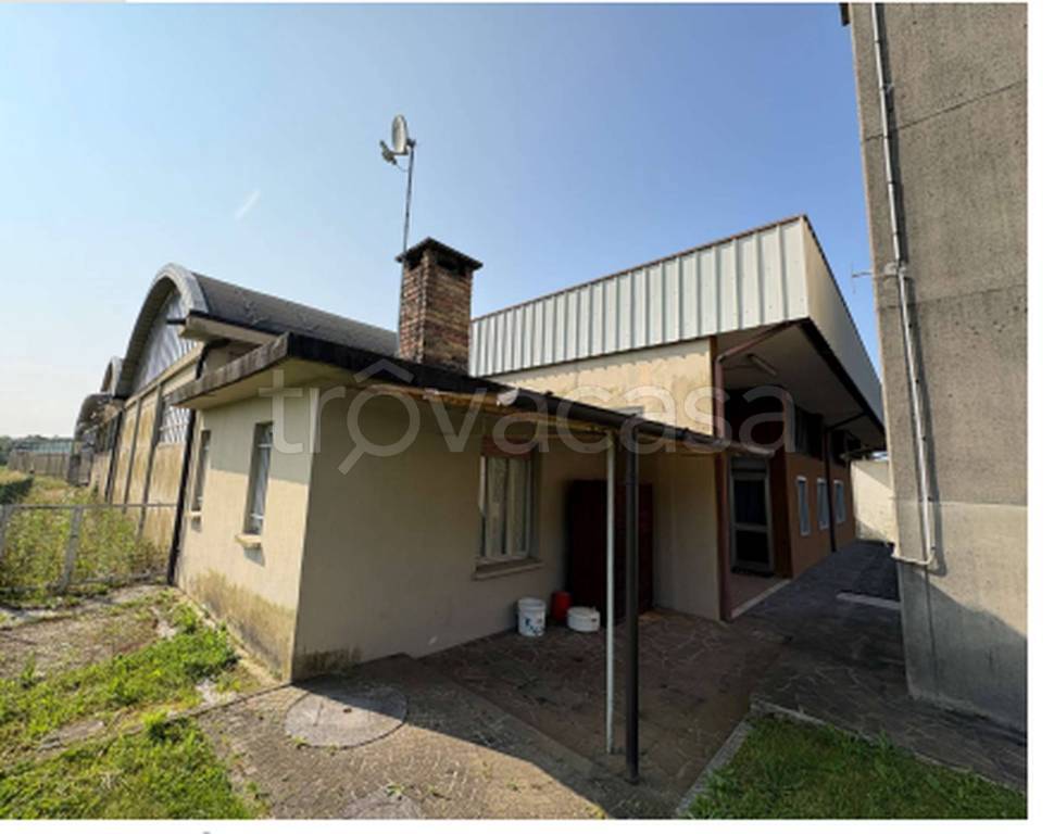 immagine annuncio 3 di 11