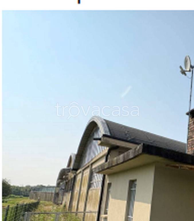 immagine annuncio 6 di 11