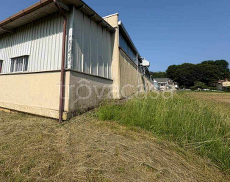 immagine annuncio 7 di 11