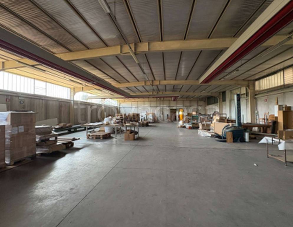 immagine annuncio 8 di 11