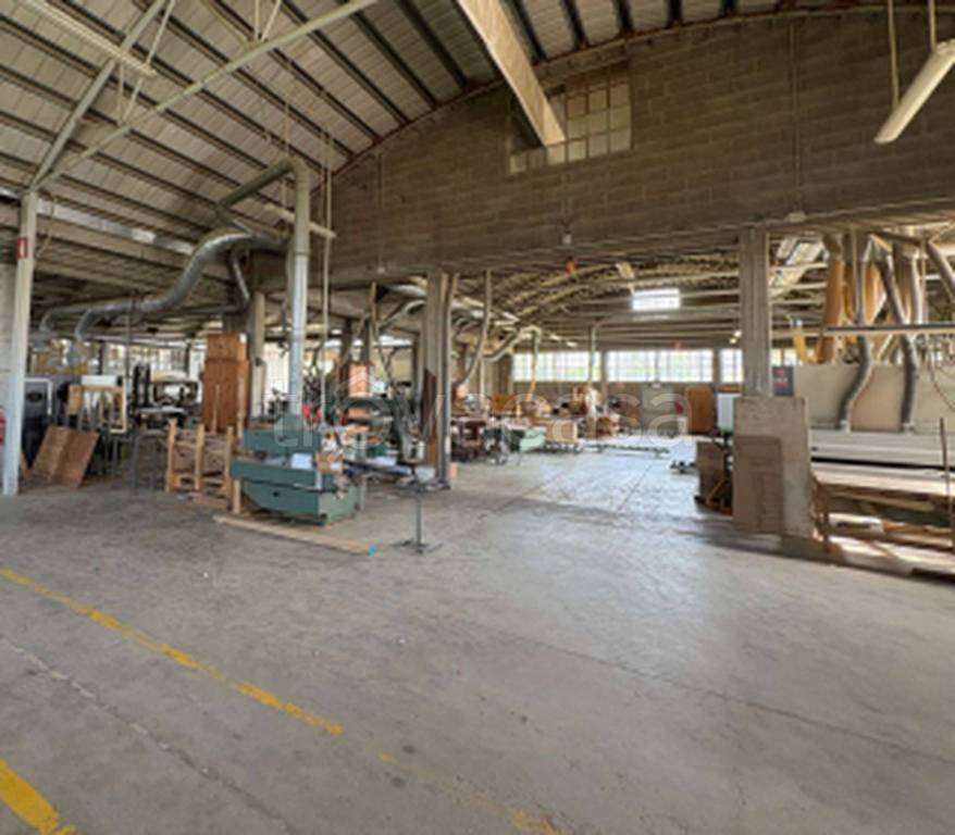 immagine annuncio 9 di 11