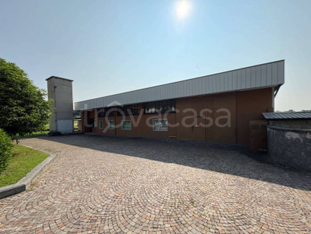 immagine annuncio 10 di 11