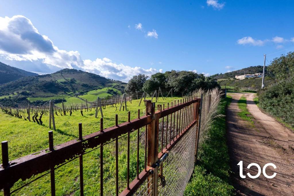 immagine annuncio 10 di 14