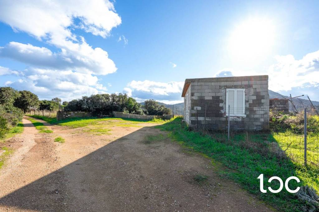 immagine annuncio 11 di 14